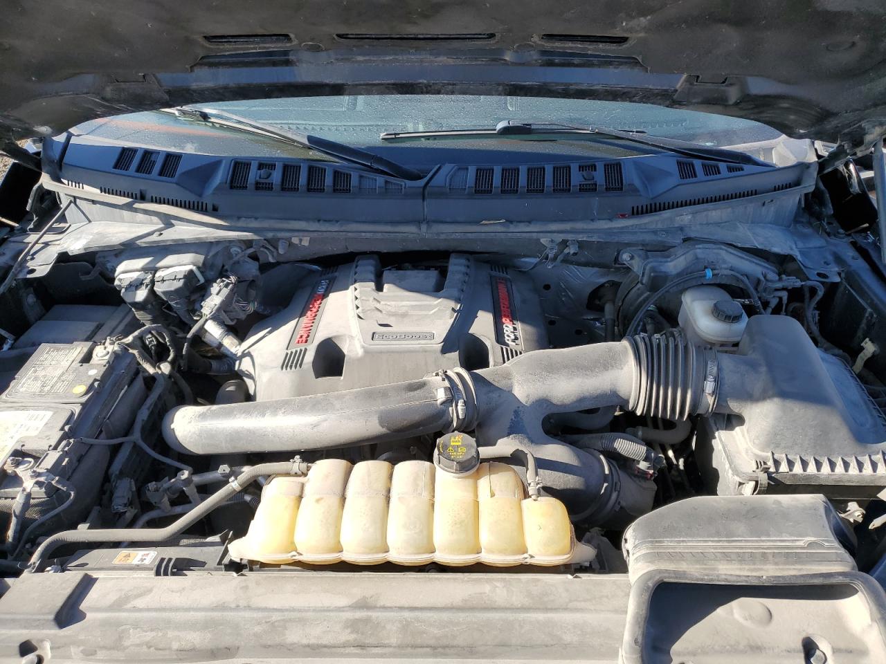 2019 Ford F150 Raptor VIN: 1FTFW1RG9KFA01436 Lot: 90322705