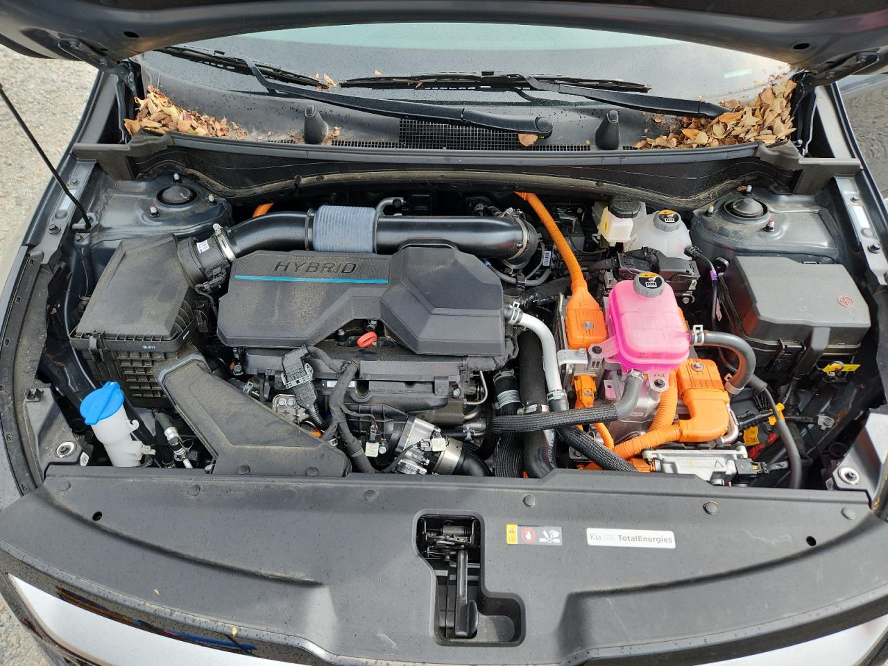 2025 Kia Sportage Sx Prestige VIN: KNDPXCDG5S7184364 Lot: 85148685