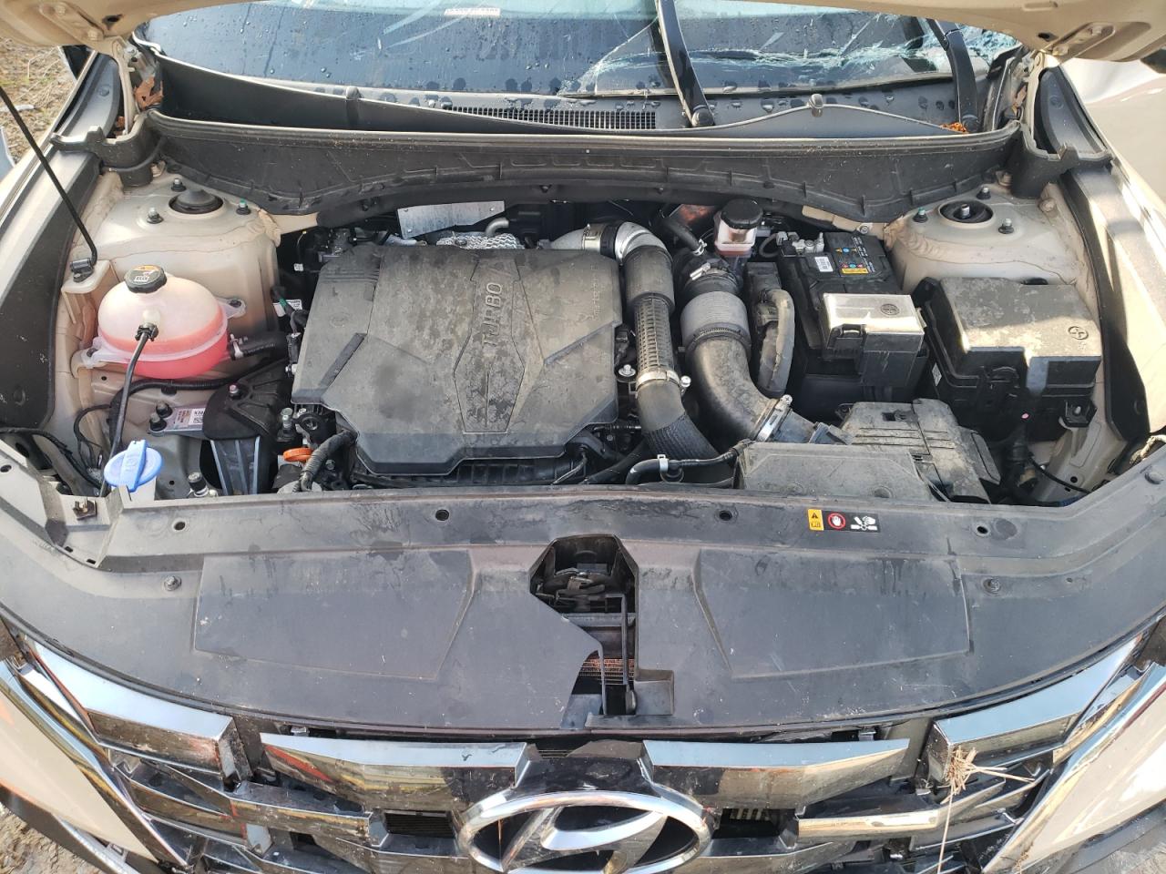 2023 Hyundai Santa Cruz Limited VIN: 5NTJEDAF3PH069697 Lot: 82274555