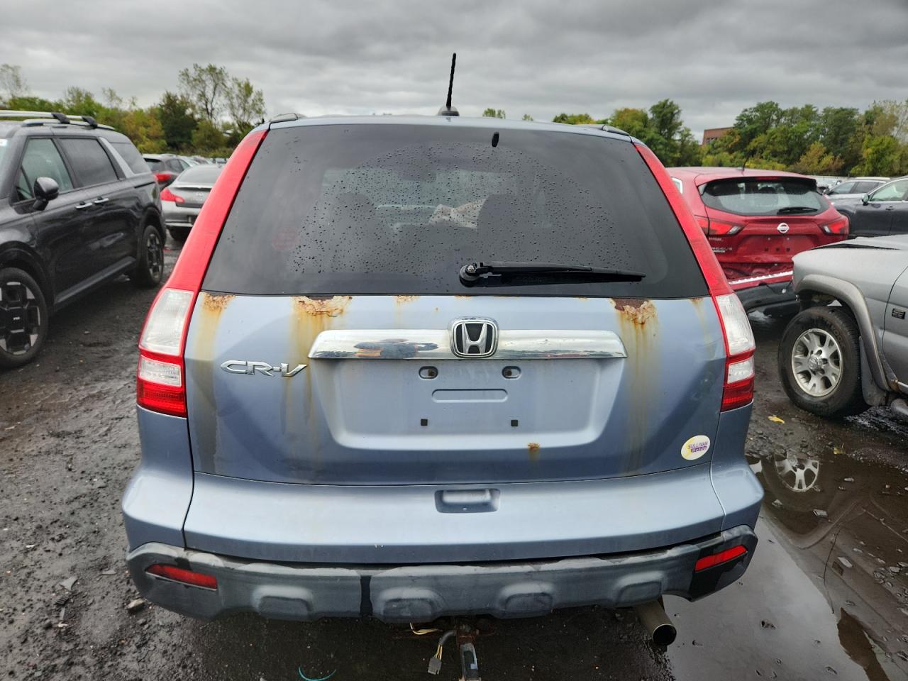 2007 Honda Cr-V Exl VIN: JHLRE48747C045567 Lot: 85667345