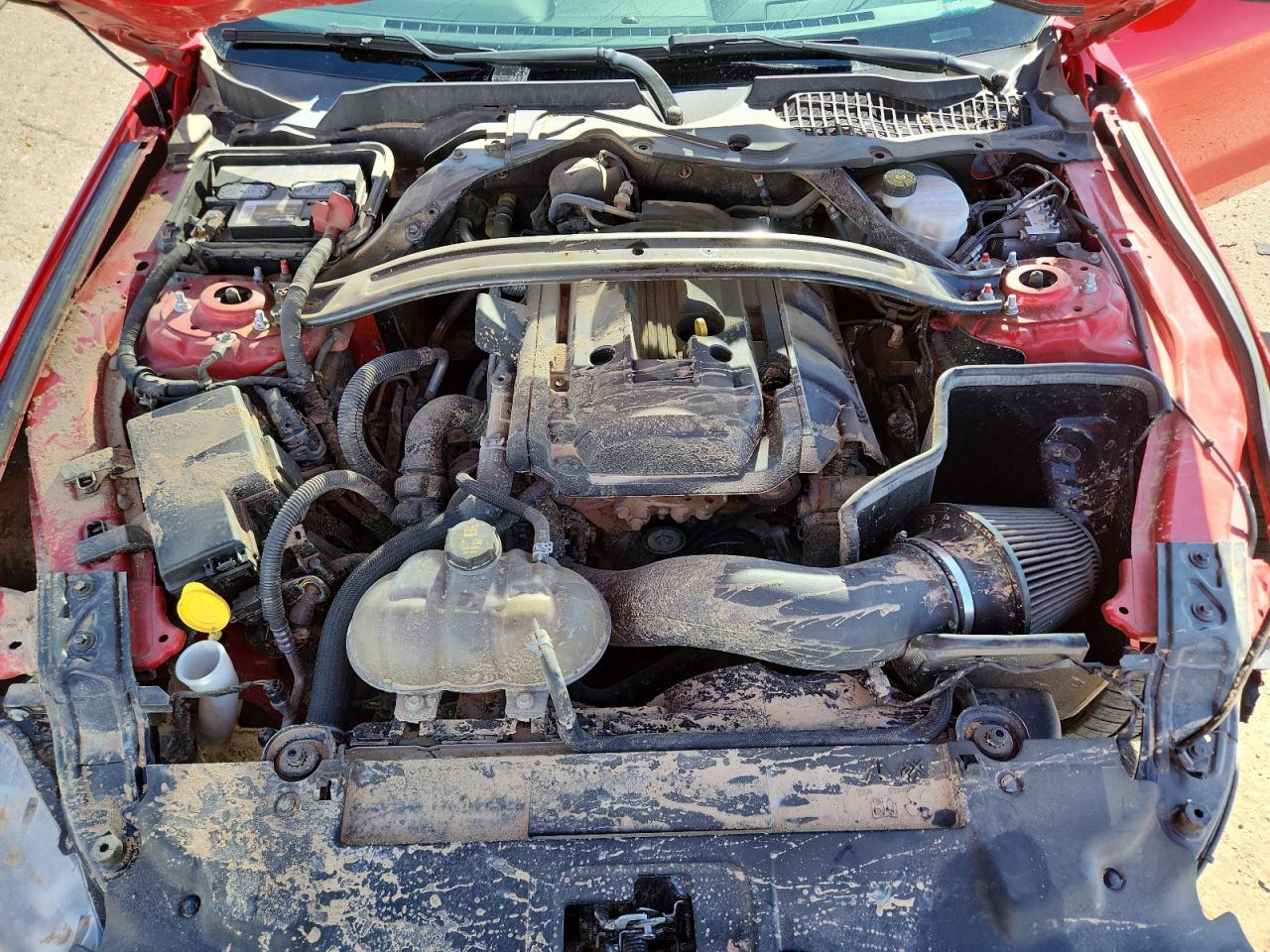 2019 Ford Mustang VIN: 1FA6P8TH5K5118627 Lot: 86316265