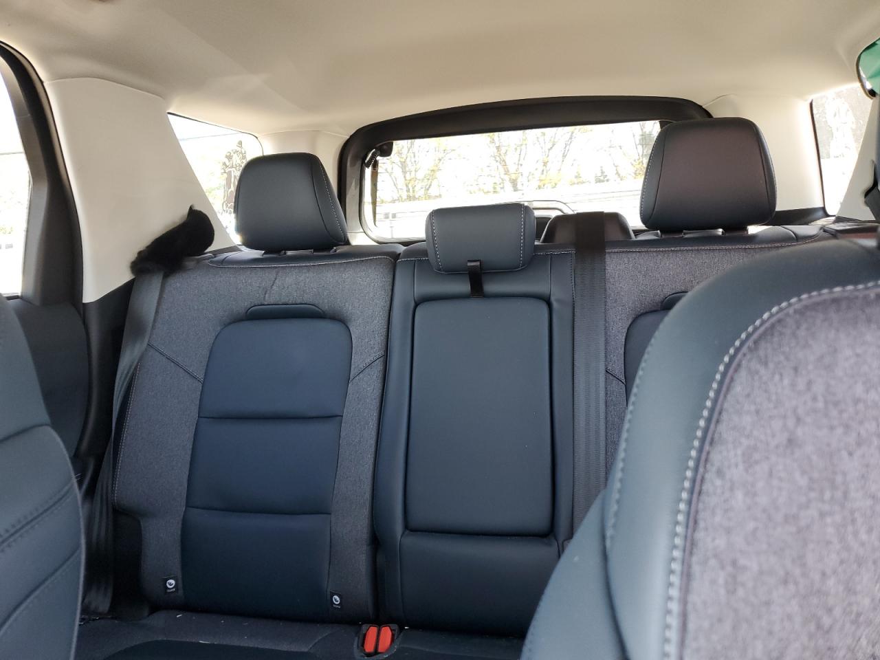 2023 Ford Bronco Sport Outer Banks VIN: 3FMCR9C61PRE11517 Lot: 82480535