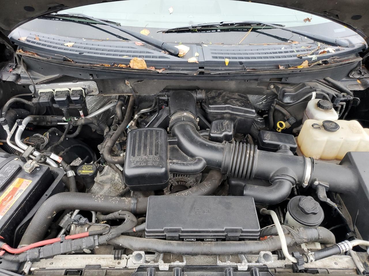 2010 Ford F150 Supercrew VIN: 1FTFW1EV8AFB90440 Lot: 85930705