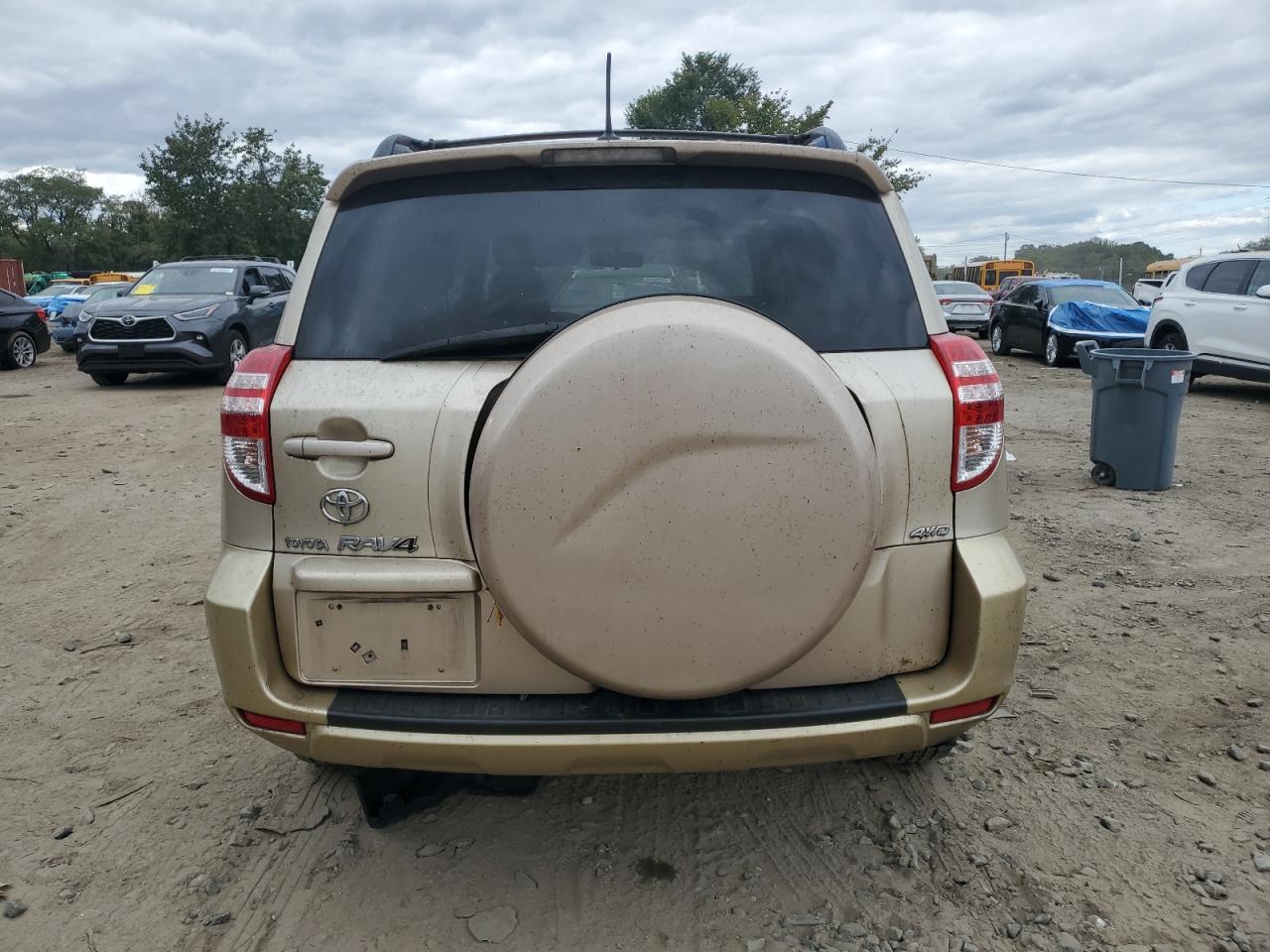 2010 Toyota Rav4 VIN: JTMBF4DV1AD039047 Lot: 82419065