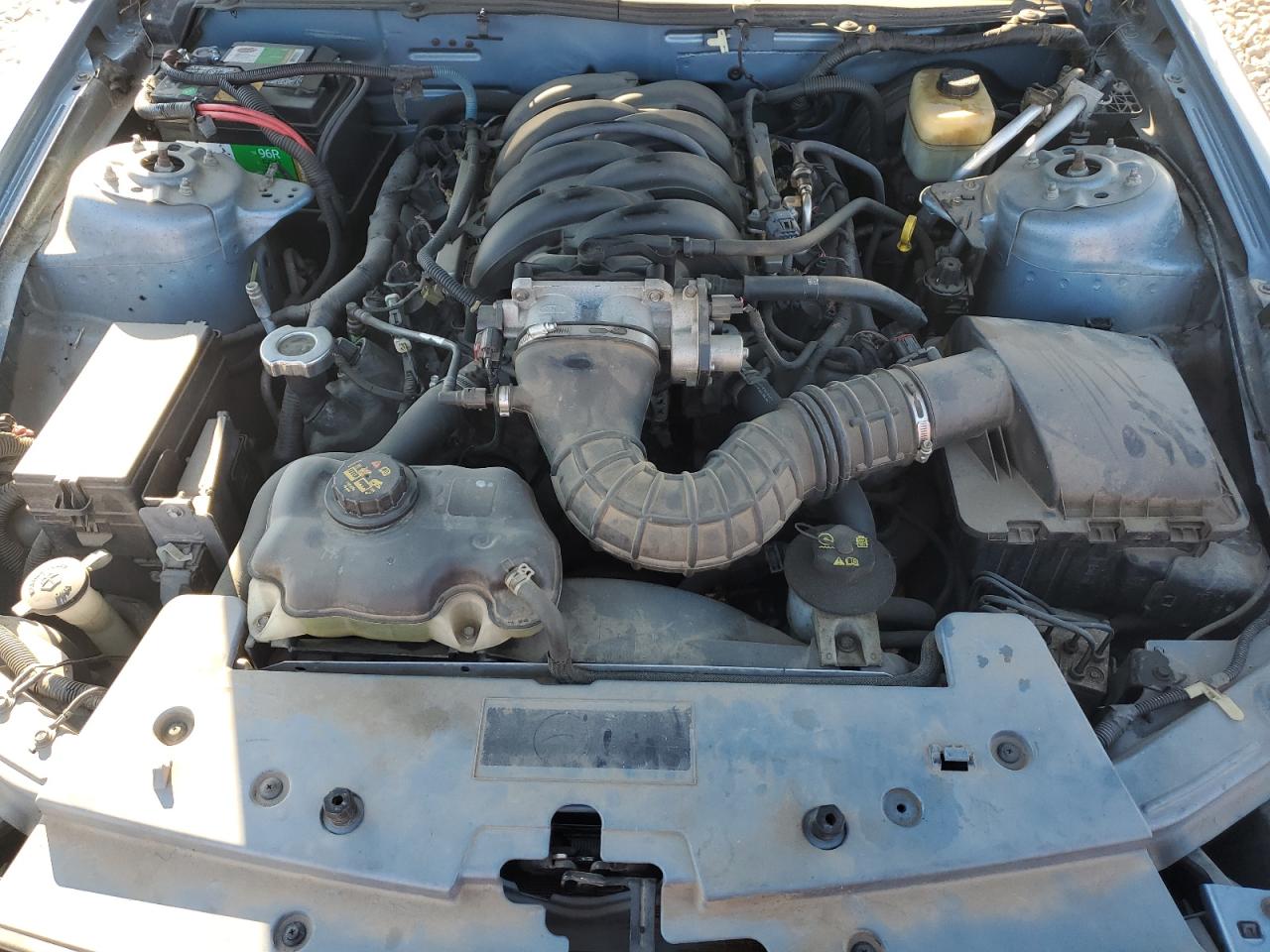 2006 Ford Mustang Gt VIN: 1ZVFT82H165114021 Lot: 82215925