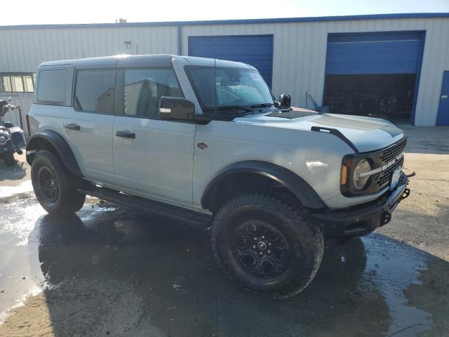  FORD BRONCO WIL 2024 Серый