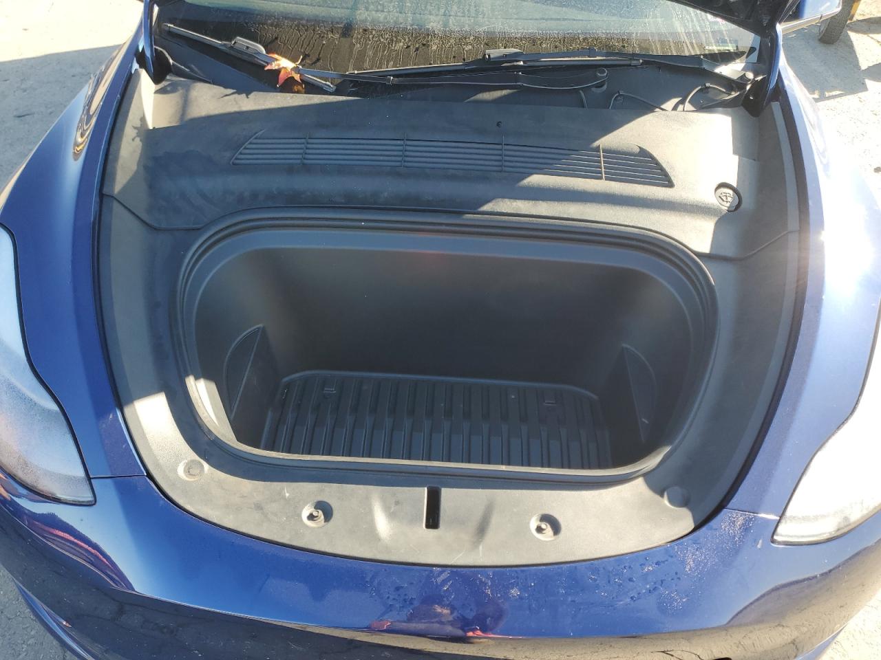 2023 Tesla Model Y VIN: 7SAYGDEE8PF768141 Lot: 89679705