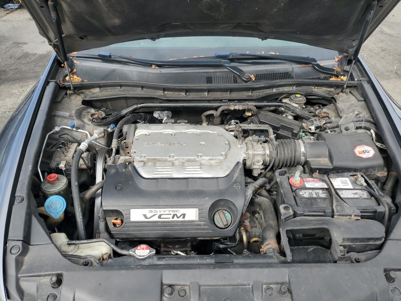 2010 Honda Accord Exl VIN: 1HGCP3F84AA016366 Lot: 85835675