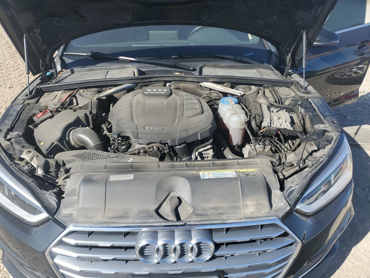 2019 Audi A5 Premium Plus S-Line VIN: WAUENCF57KA021742 Lot: 82574225