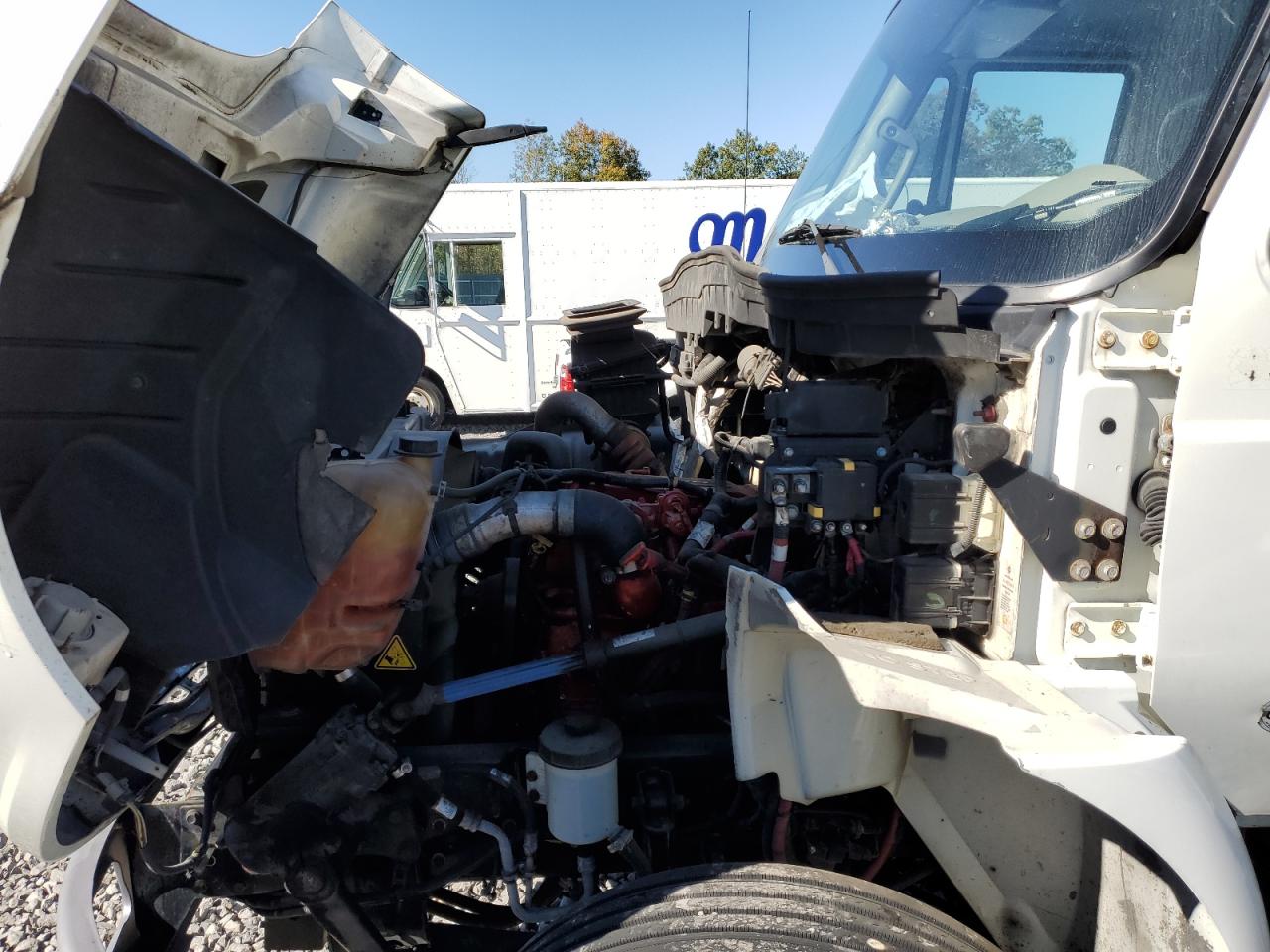 2019 International 4000 4300 VIN: 3HAMMMML7KL382644 Lot: 83840755