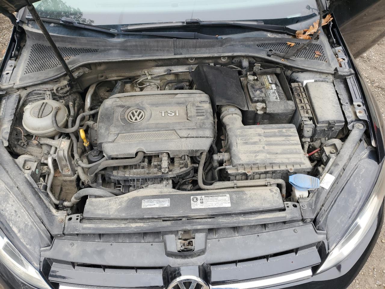 2016 Volkswagen Golf Sportwagen S VIN: 3VWC17AU7GM506305 Lot: 86422165