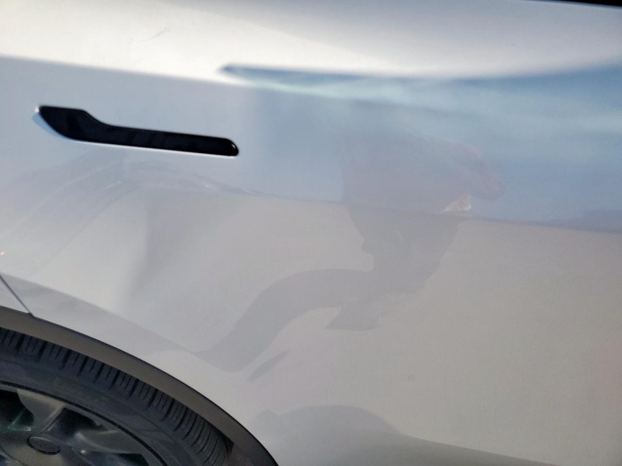 2022 Tesla Model Y VIN: 7SAYGDEE8NF394787 Lot: 82041125