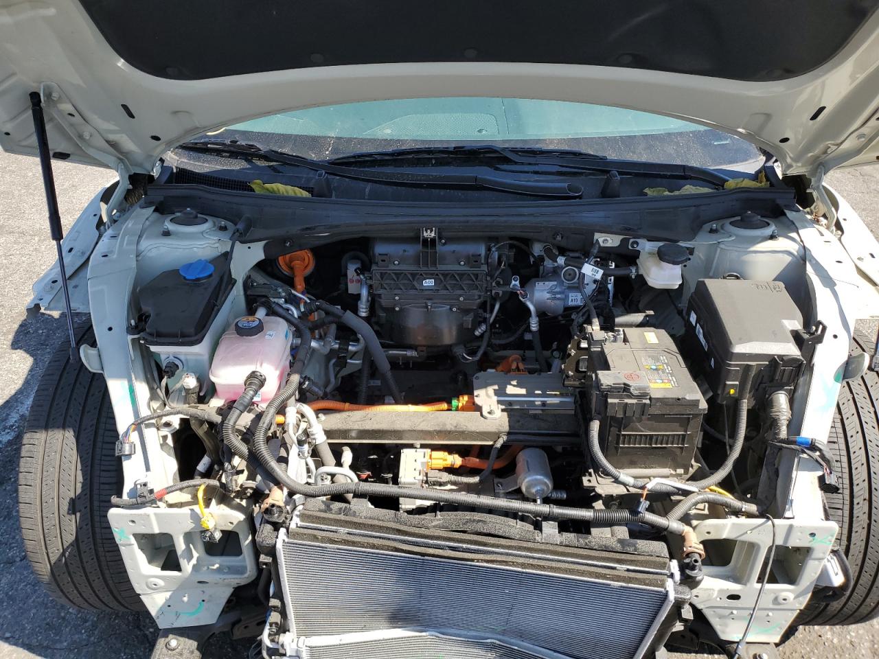 2024 Kia Ev6 Light VIN: KNDC34LAXR5224232 Lot: 85198345