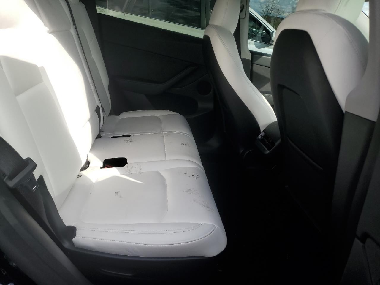 2024 Tesla Model Y VIN: 7SAYGAEE3RF011102 Lot: 82683615