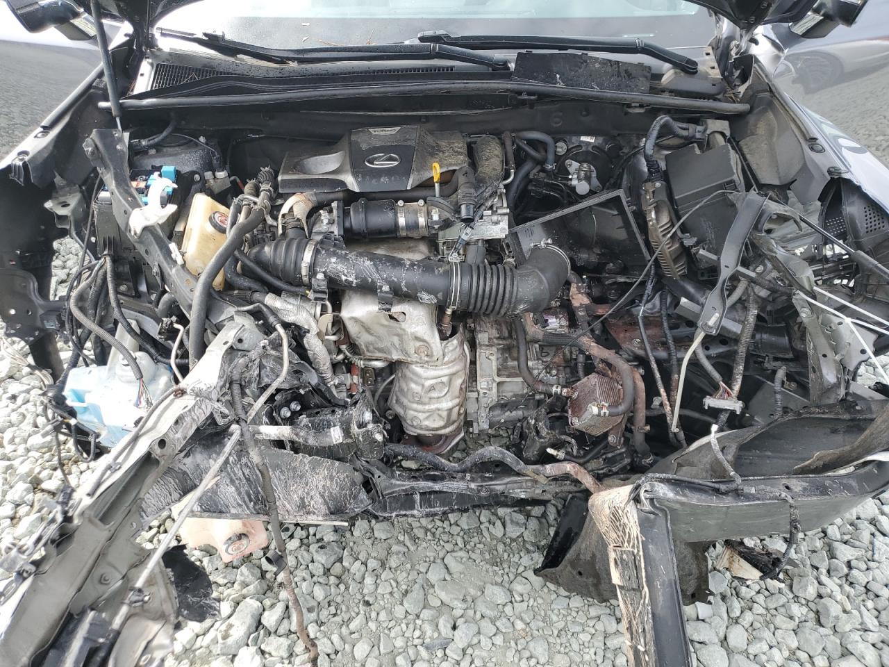 2019 Lexus Nx 300 Base VIN: JTJYARBZXK2154428 Lot: 86186305