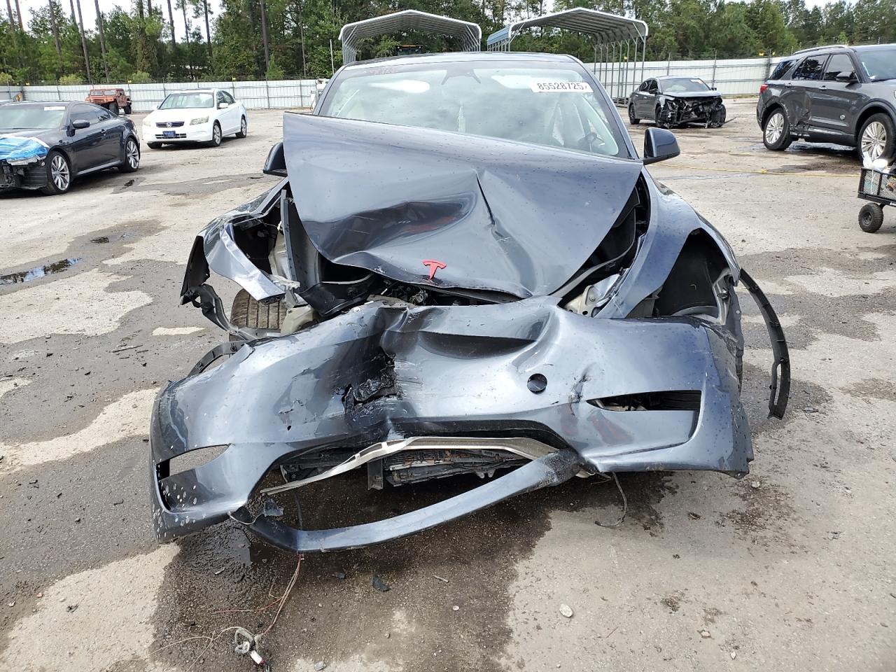 2023 Tesla Model Y VIN: 7SAYGDEE6PF598765 Lot: 85528725
