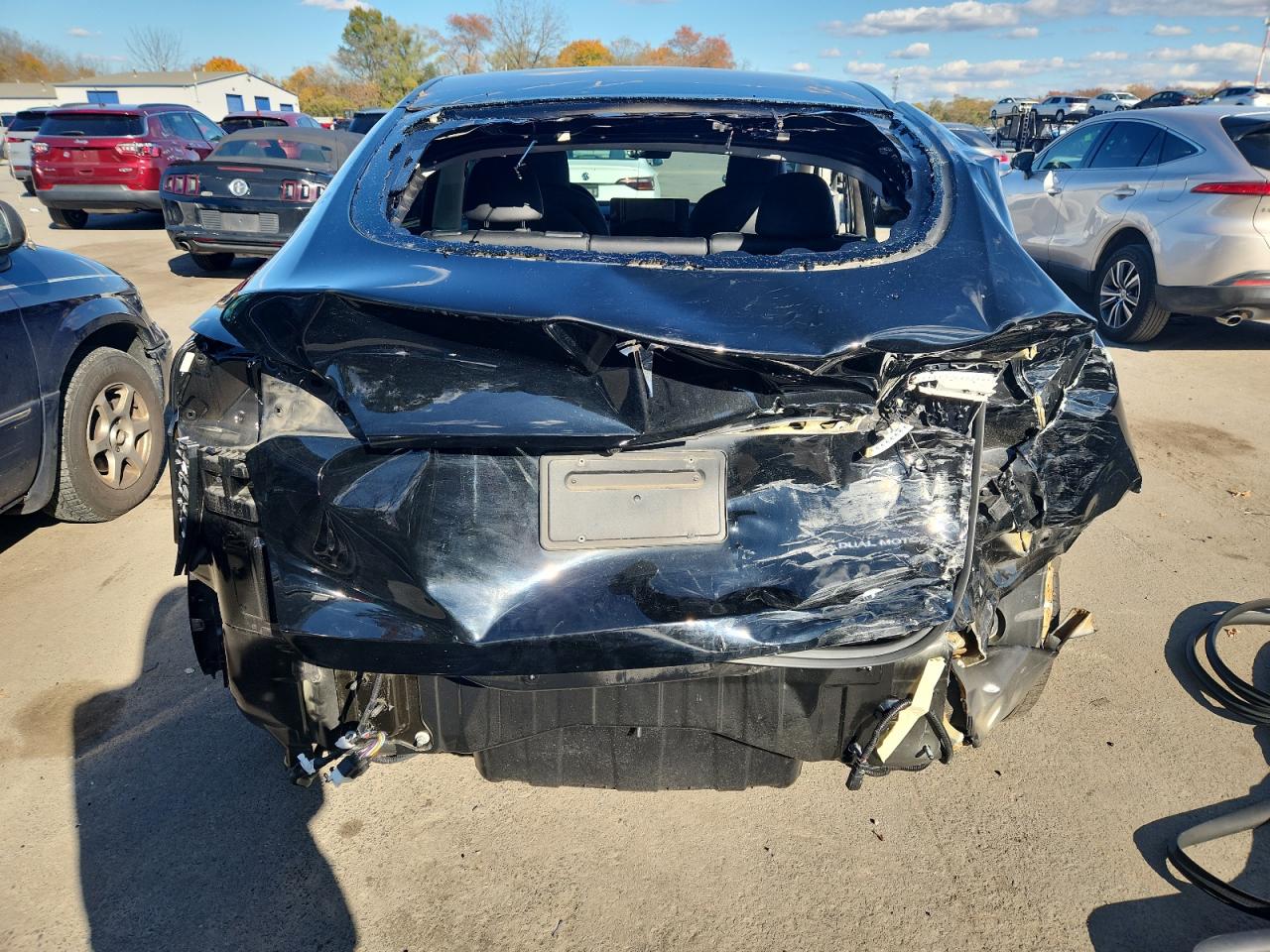 2022 Tesla Model Y VIN: 7SAYGDEE1NF320174 Lot: 82674145