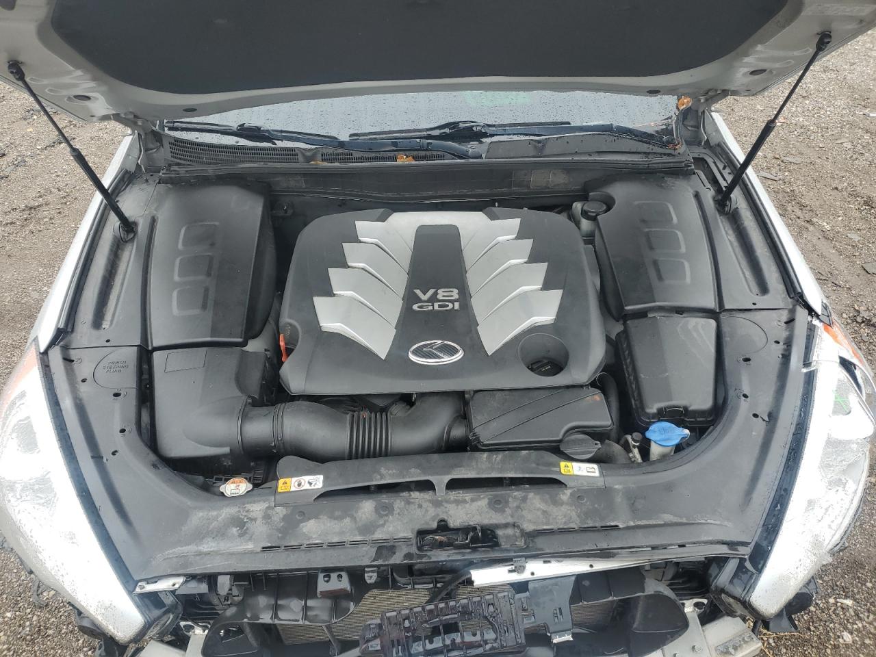 2015 Kia K900 VIN: KNALW4D41F6021698 Lot: 85317015