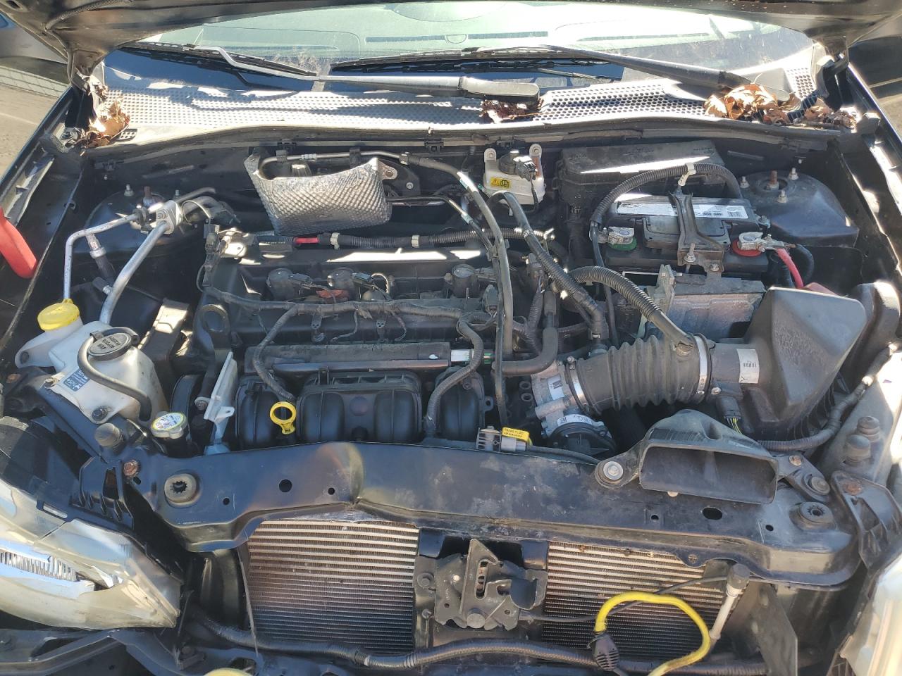 2011 Ford Focus Se VIN: 1FAHP3FN1BW195566 Lot: 85836185