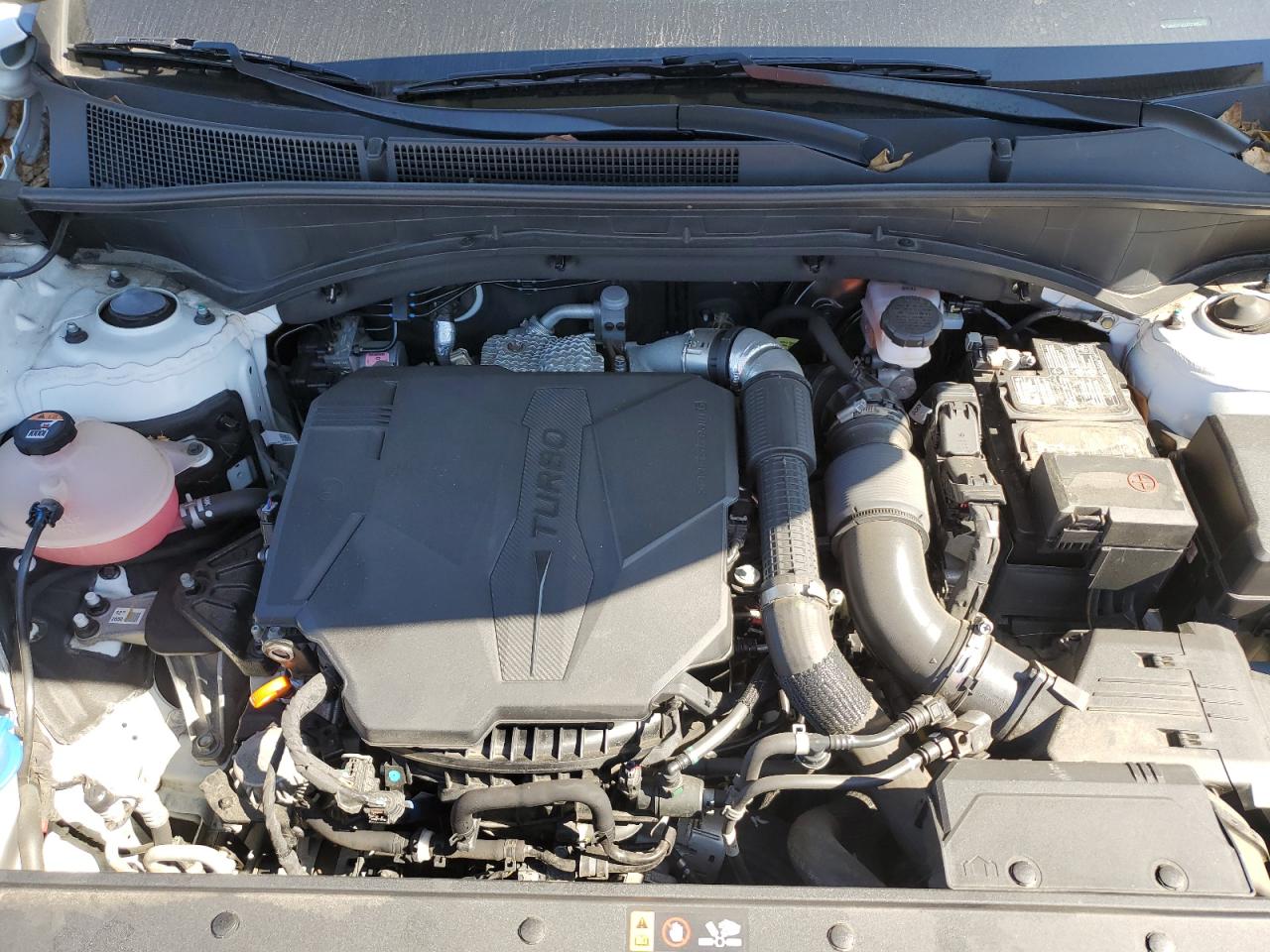 2023 Hyundai Santa Fe Calligraphy VIN: 5NMS5DAL6PH520255 Lot: 82090035