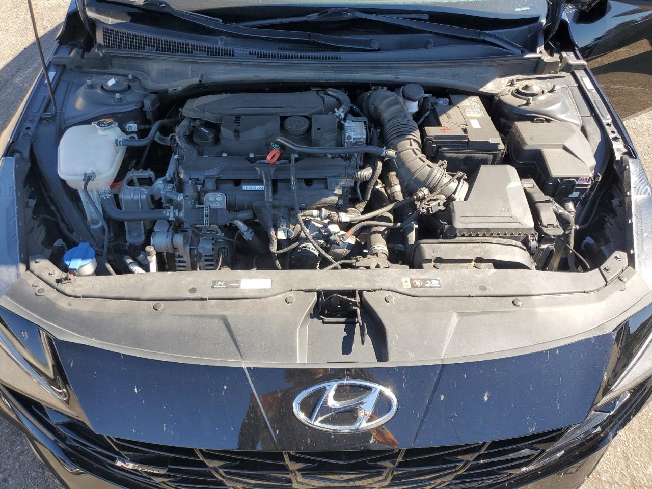 2023 Hyundai Elantra N Line VIN: KMHLR4AF8PU398165 Lot: 85737465