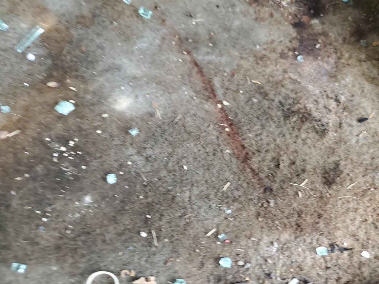 2006 Chevrolet Equinox Lt VIN: 2CNDL63F666166109 Lot: 90080435