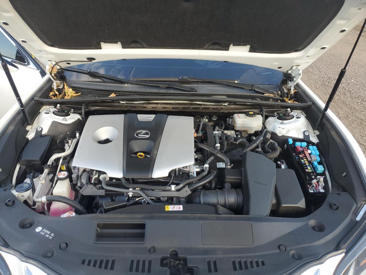 2019 Lexus Es 300H VIN: JTHB21B12K2043498 Lot: 84879855