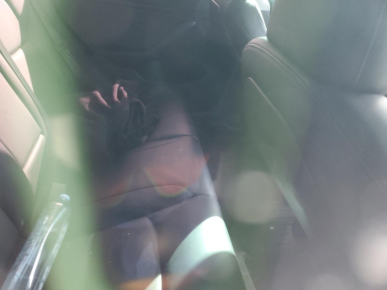 2023 Tesla Model 3 VIN: 5YJ3E1EA4PF696217 Lot: 82444715