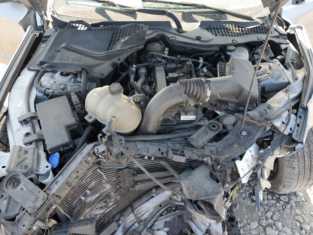 2021 Ford Mustang VIN: 1FA6P8TH2M5149529 Lot: 87474215