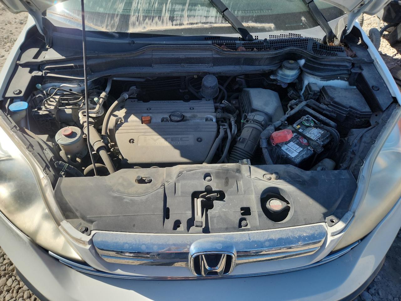 2007 Honda Cr-V Exl VIN: JHLRE38797C036793 Lot: 81109865