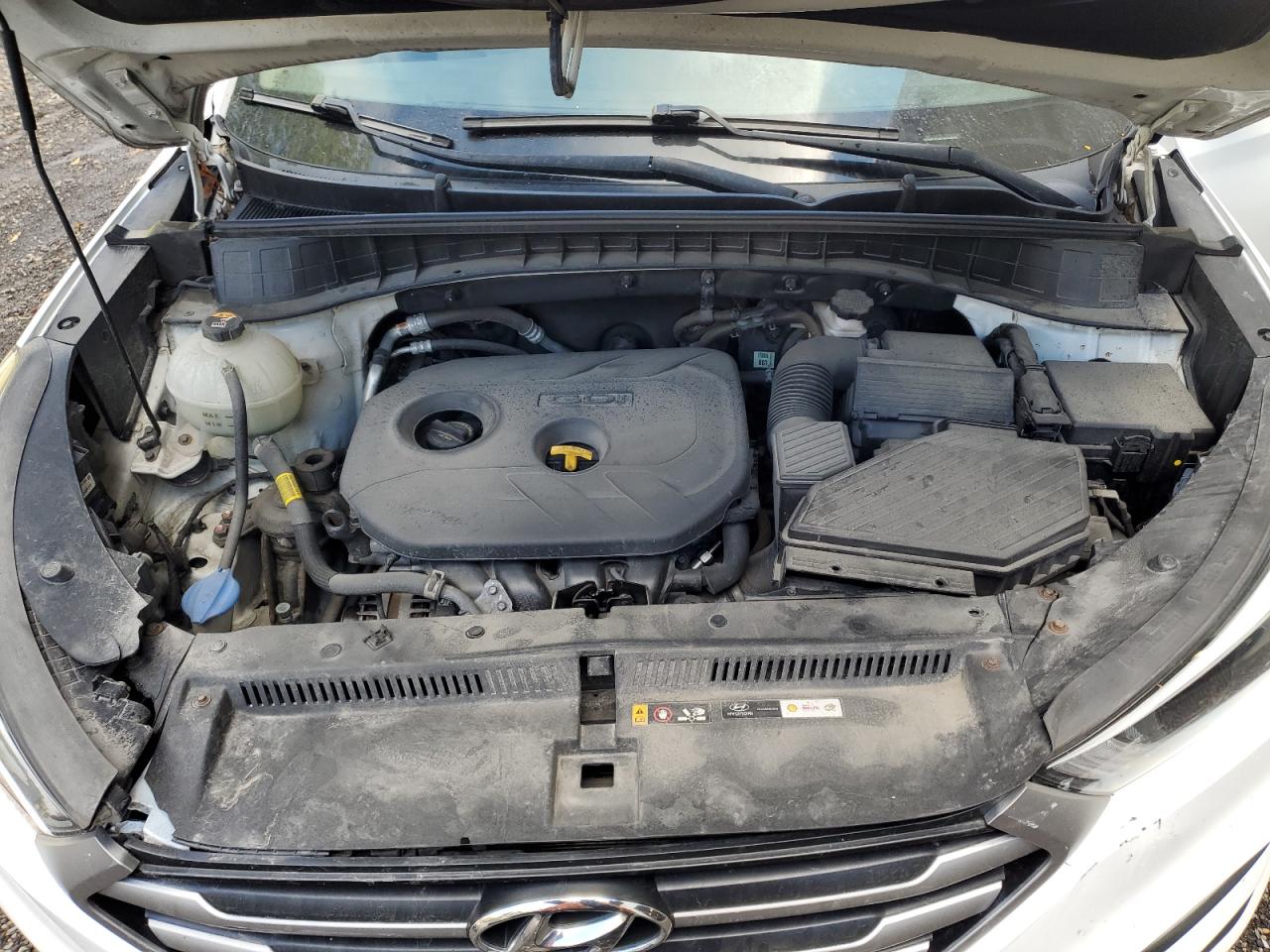 2017 Hyundai Tucson Limited VIN: KM8J3CA41HU566635 Lot: 85597165