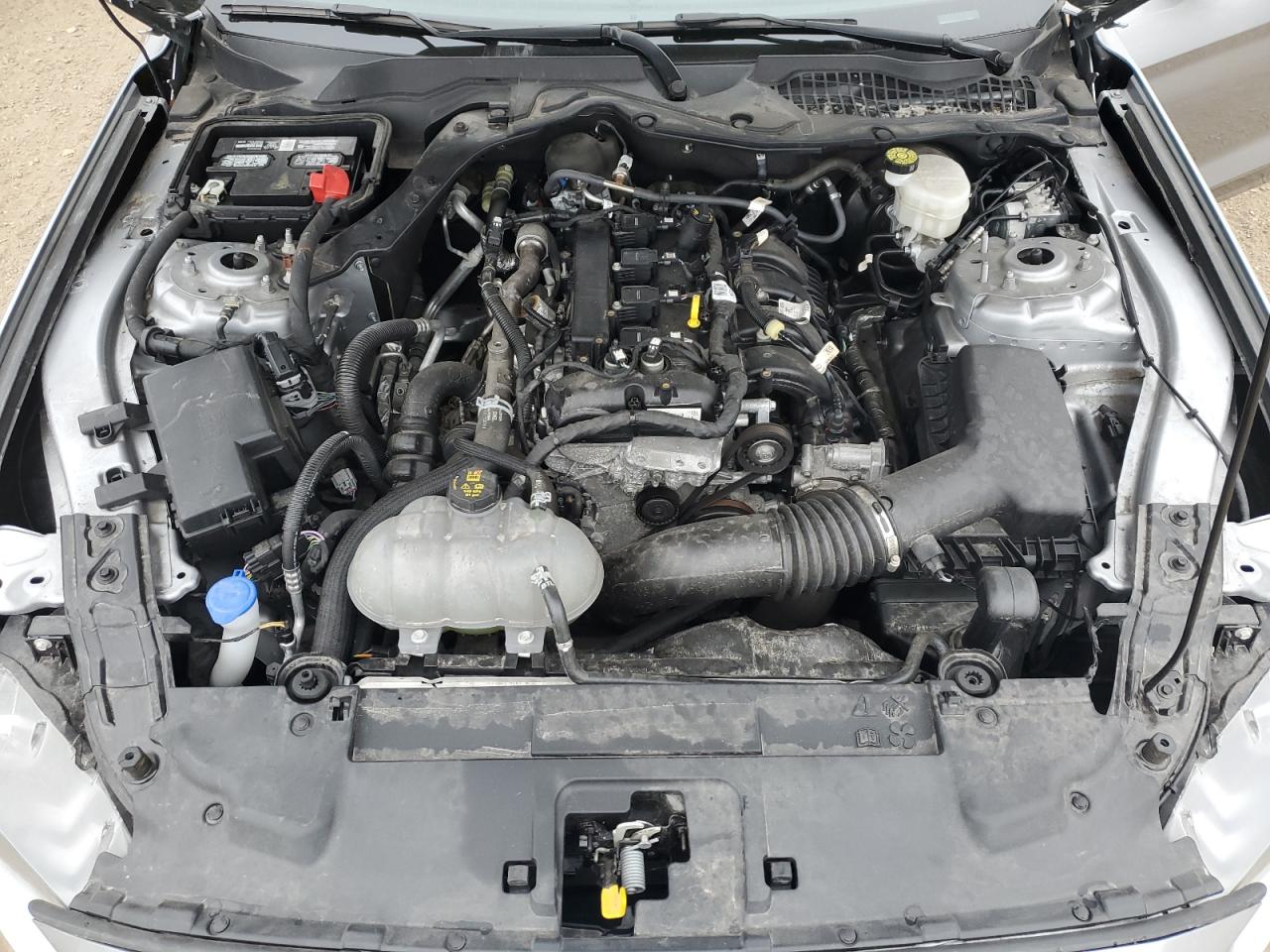 2021 Ford Mustang VIN: 1FA6P8TH0M5113144 Lot: 89631595