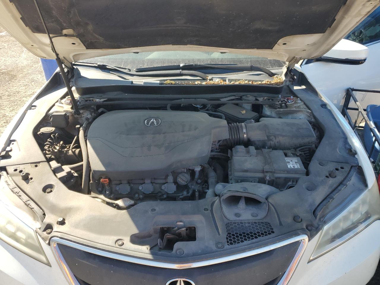 2015 Acura Tlx Tech VIN: 19UUB3F51FA803873 Lot: 85077825