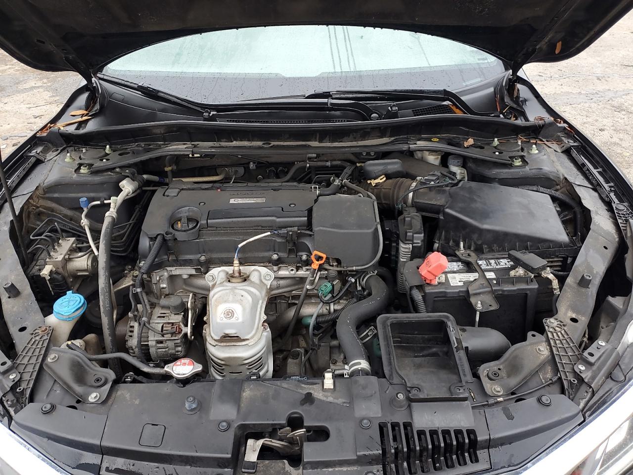 2017 Honda Accord Sport Special Edition VIN: 1HGCR2E10HA007697 Lot: 85841785