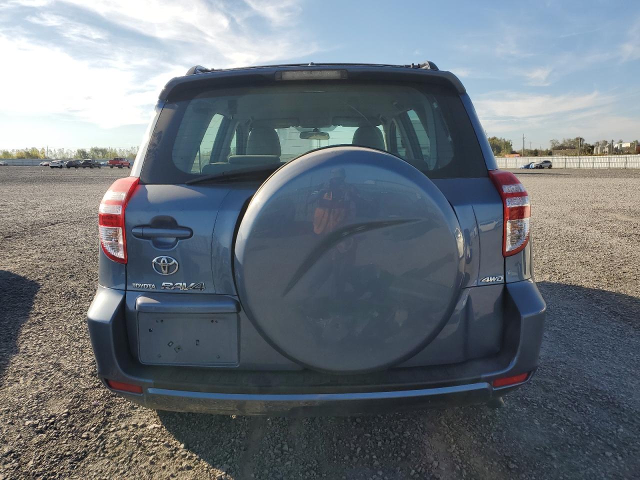 2010 Toyota Rav4 VIN: 2T3BF4DV2AW026004 Lot: 85310725