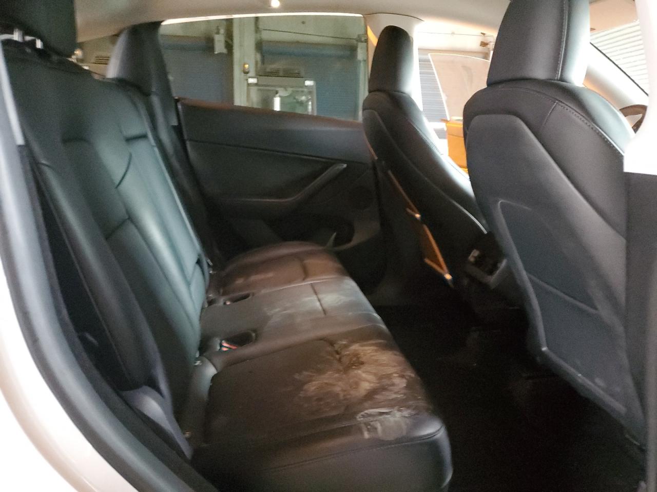 2023 Tesla Model Y VIN: 7SAYGDEE7PF742114 Lot: 82708475