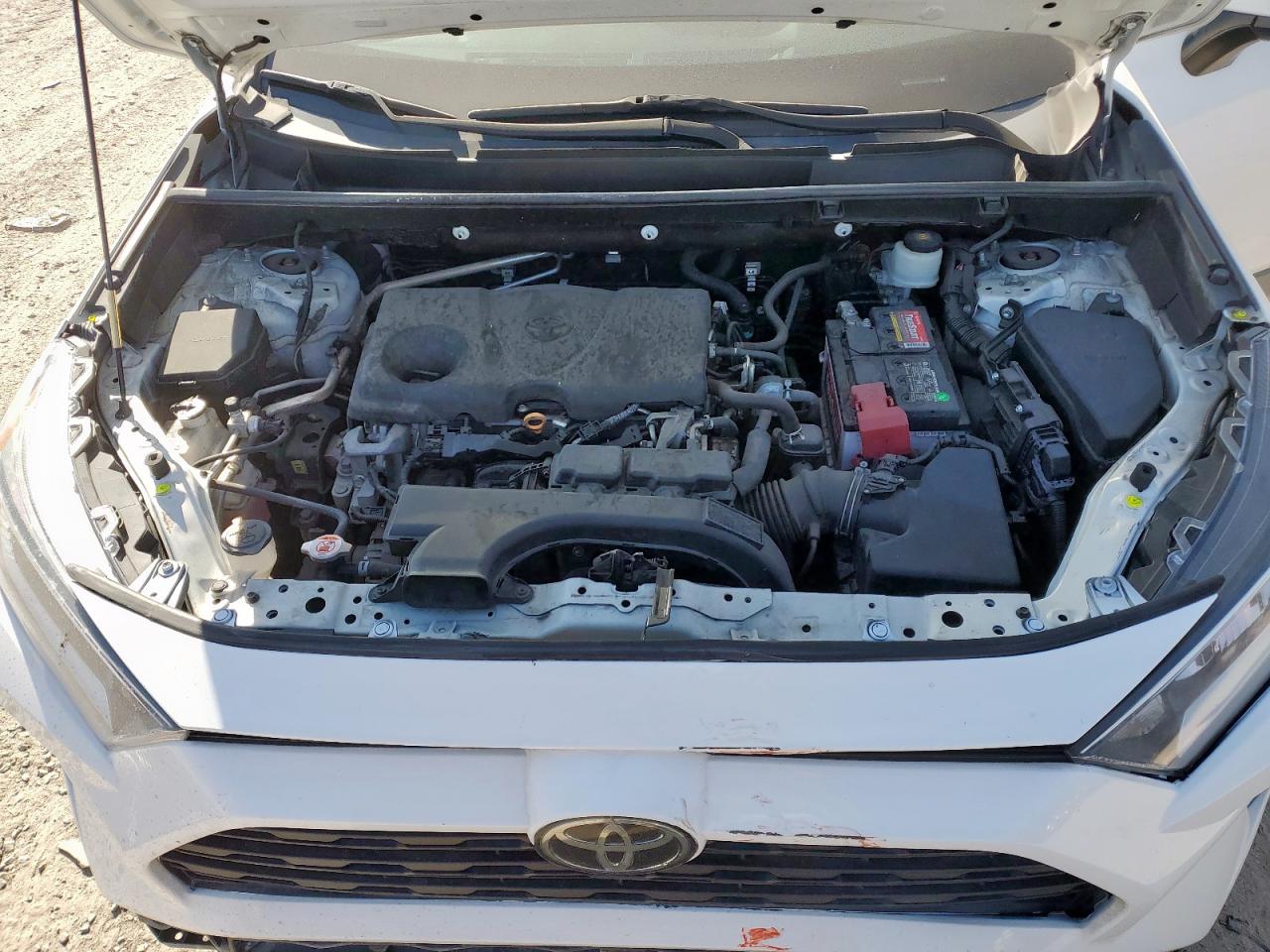 2019 Toyota Rav4 Xle VIN: 2T3P1RFV1KC021085 Lot: 82211885