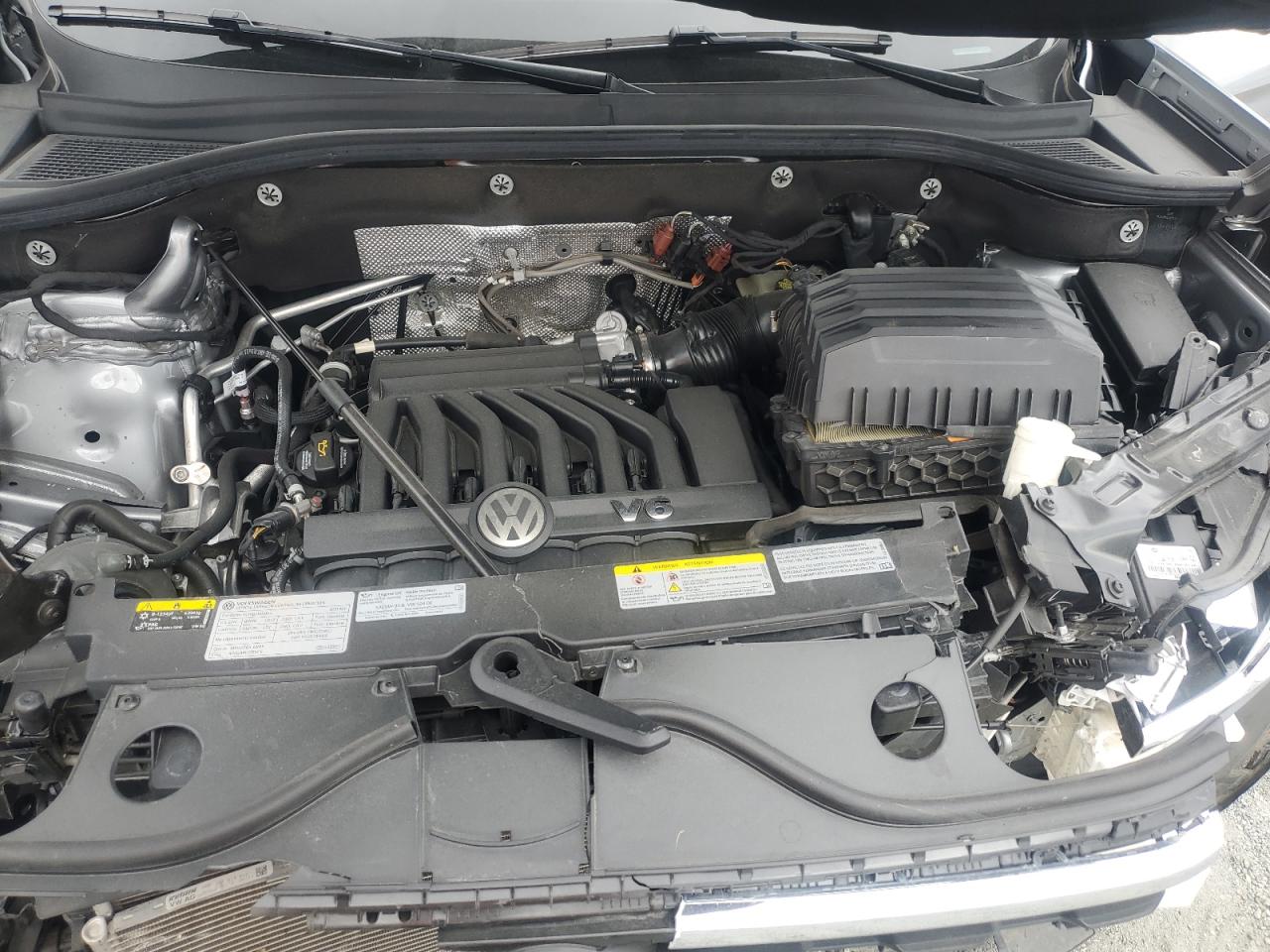 Фото: 1V2HR2CA4MC598749