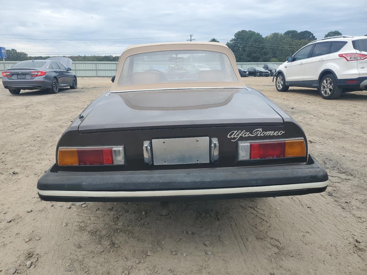 1980 Alfa Romeo Spider Vel VIN: AR115410011099 Lot: 90127735