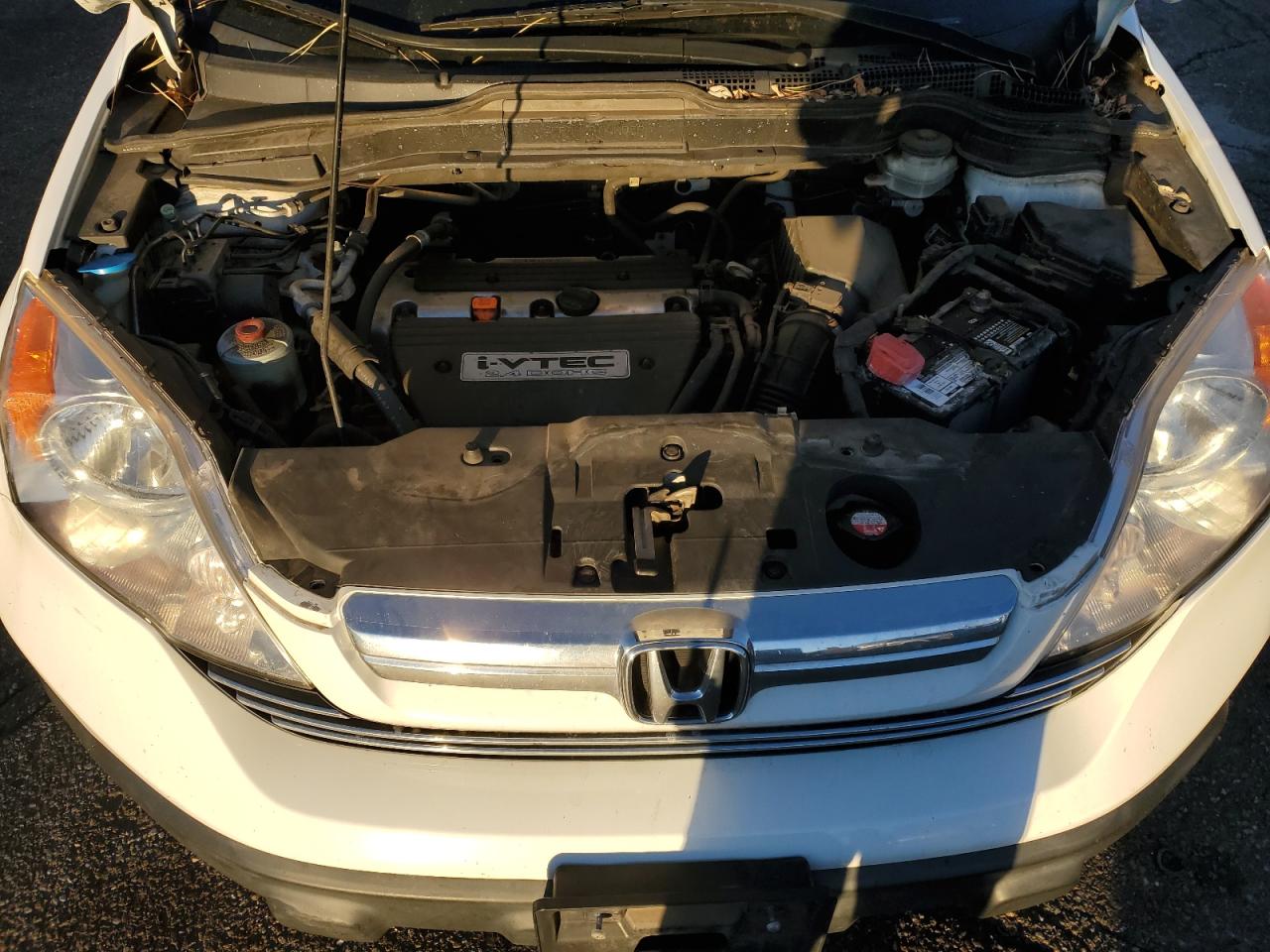 2009 Honda Cr-V Exl VIN: JHLRE487X9C023723 Lot: 87487915
