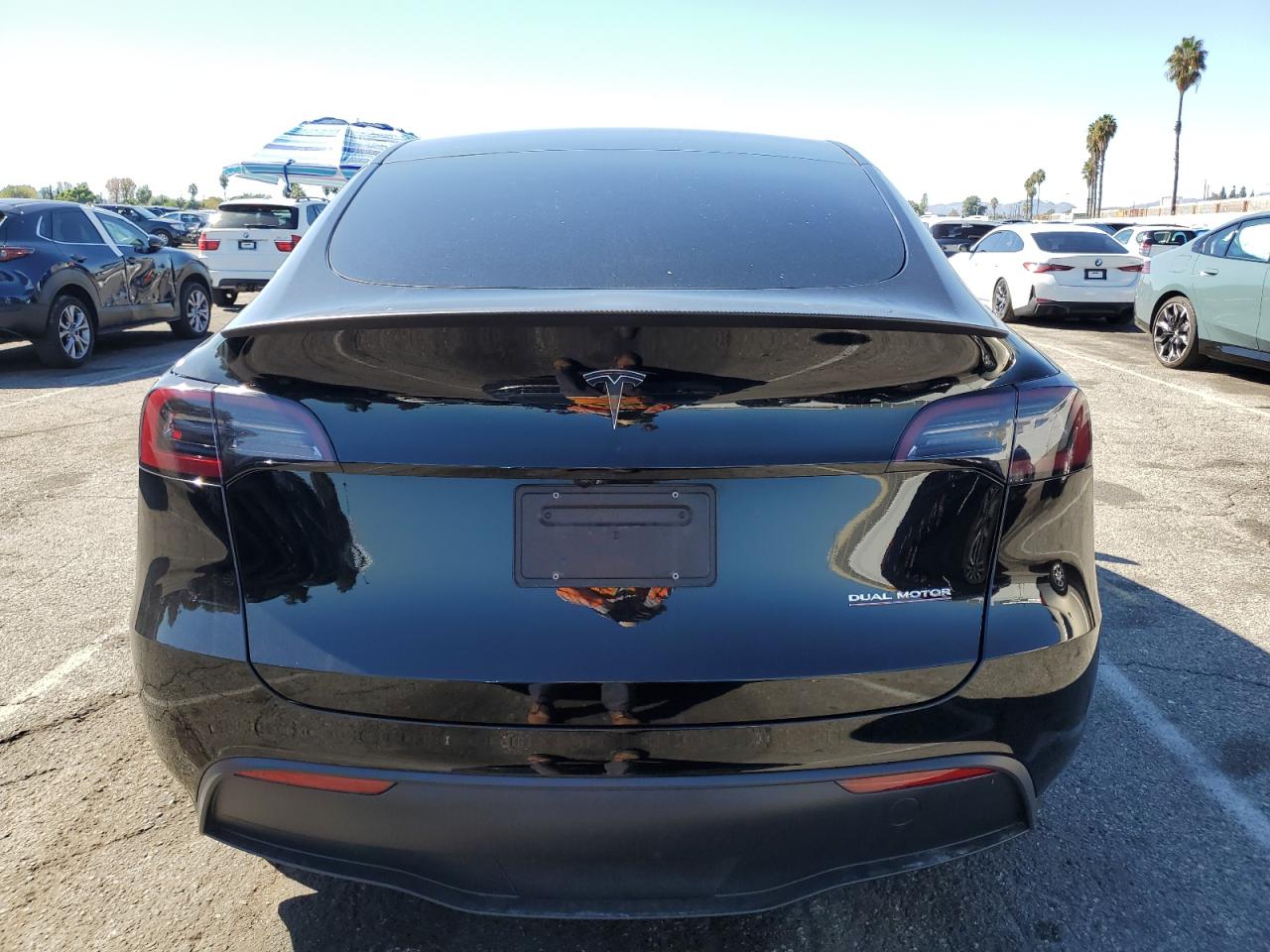 2024 Tesla Model Y VIN: 7SAYGDEF5RF064412 Lot: 87083965