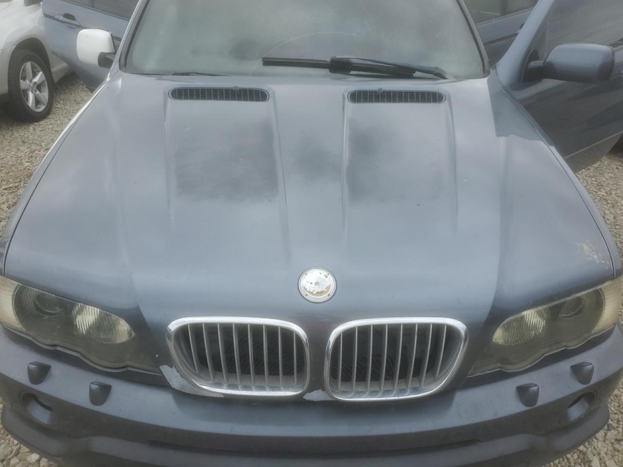 Фото: 5UXFA53552LP43426