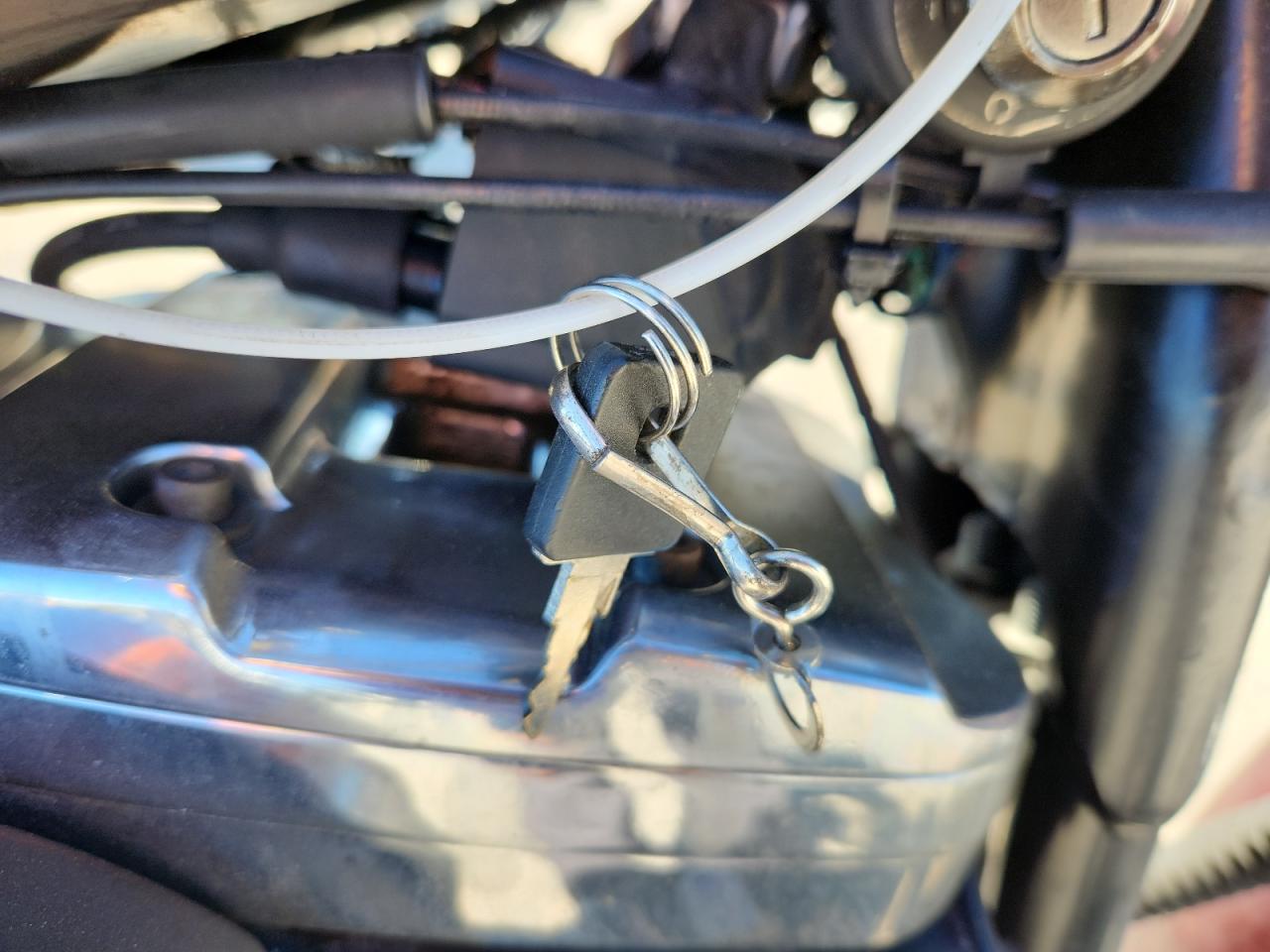 2002 Harley-Davidson Xl1200 C VIN: 1HD1CGP162K158819 Lot: 89698755