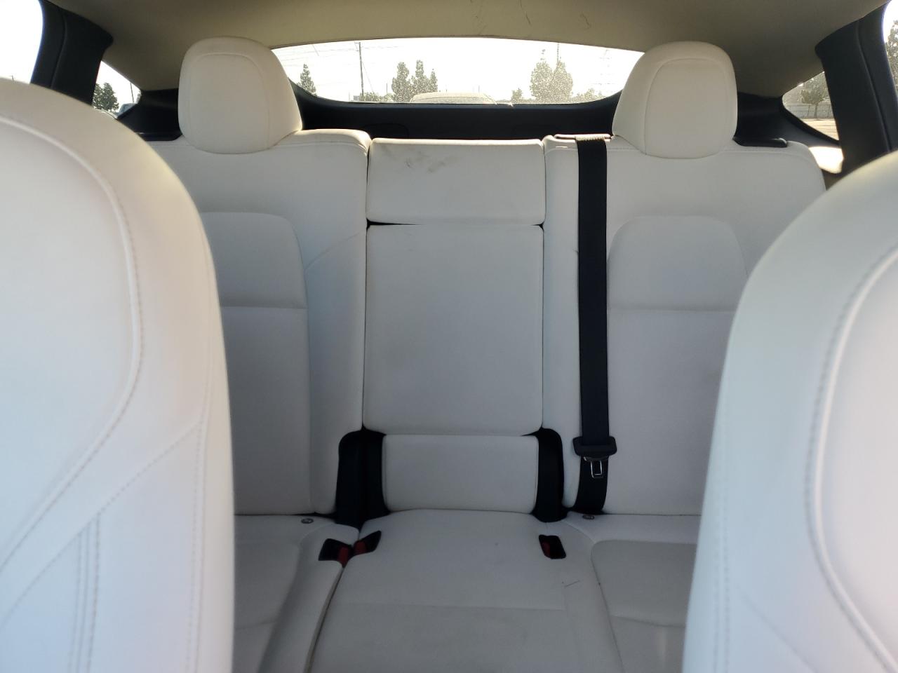 2023 Tesla Model Y VIN: 7SAYGAEE2PF646213 Lot: 84785885