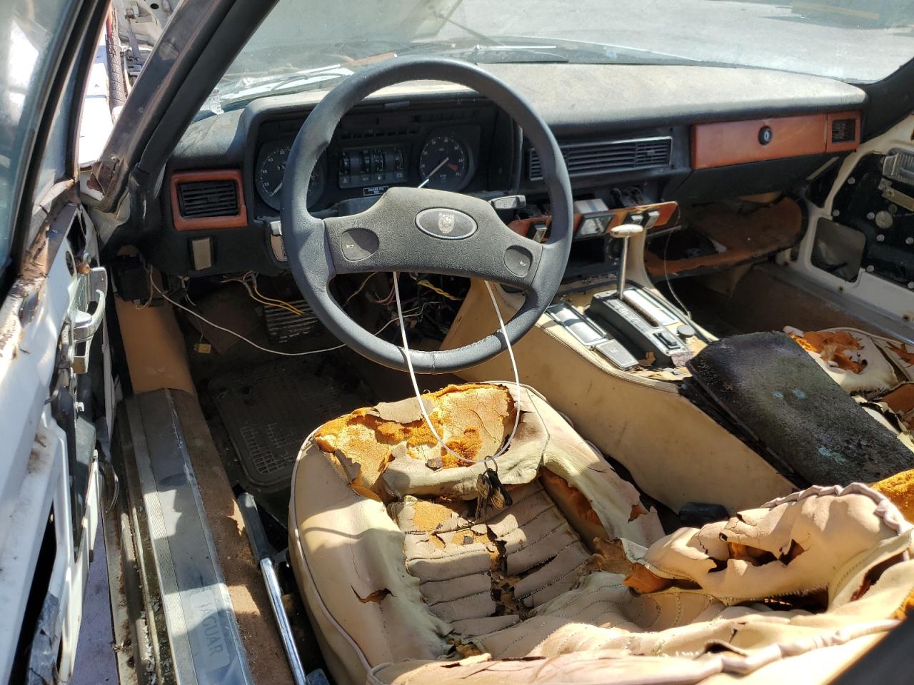 1982 Jaguar Xjs VIN: SAJNV5849CC105507 Lot: 94230415