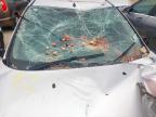 2010 FORD FIESTA EDGE 60  for sale at Copart SANDY