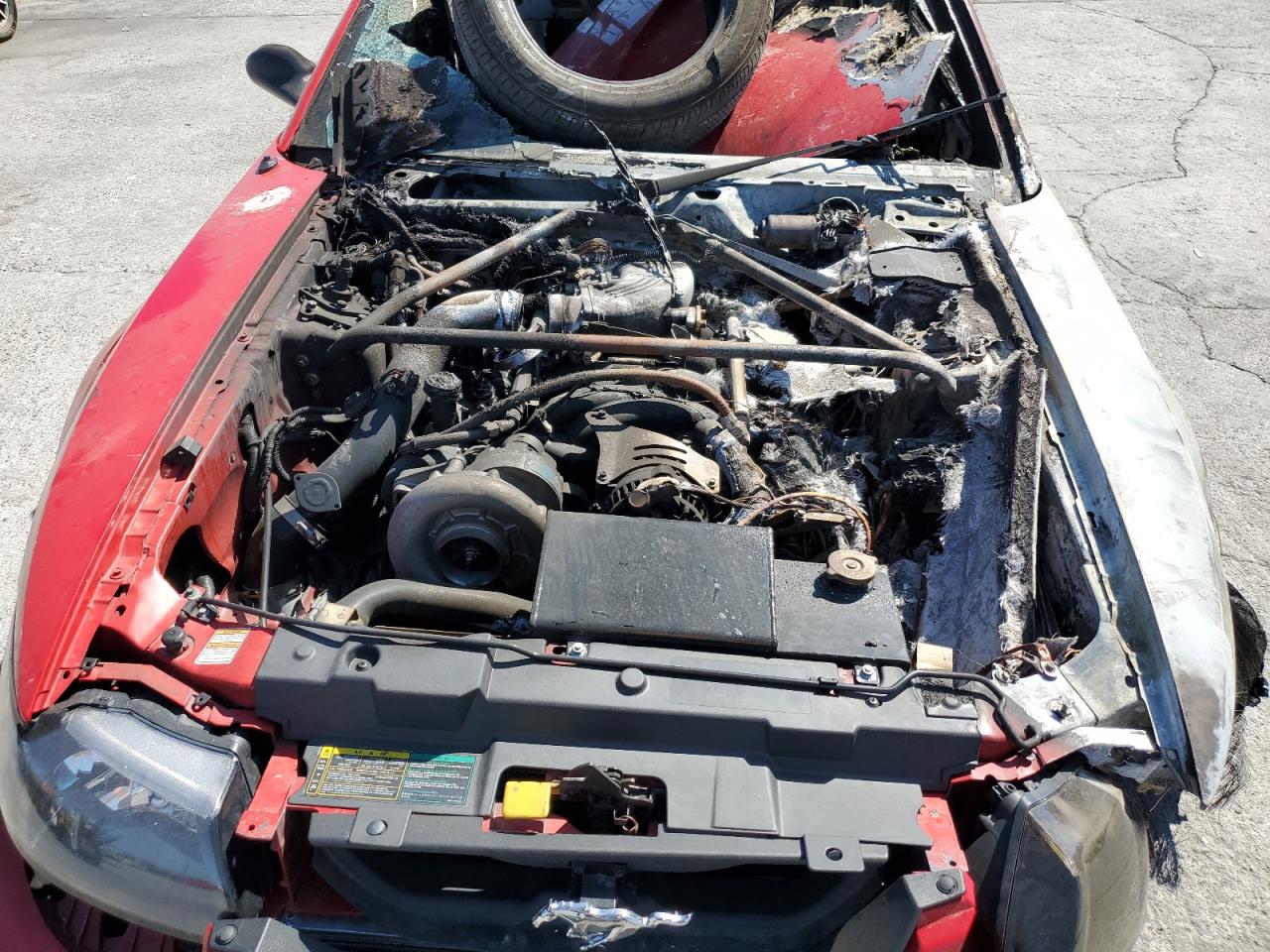 1999 Ford Mustang Gt VIN: 1FAFP42X9XF142531 Lot: 81993385