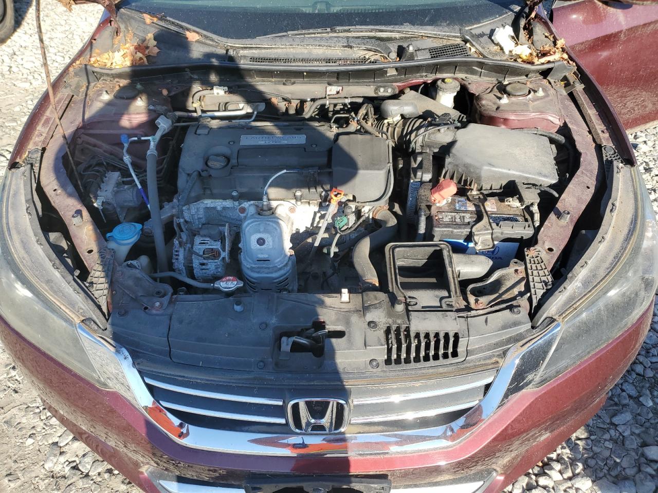 2014 Honda Accord Lx VIN: 1HGCR2F33EA202804 Lot: 85264515