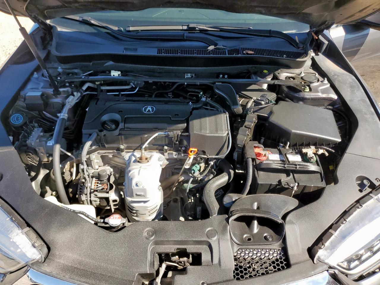 2019 Acura Tlx VIN: 19UUB1F33KA010703 Lot: 90379635