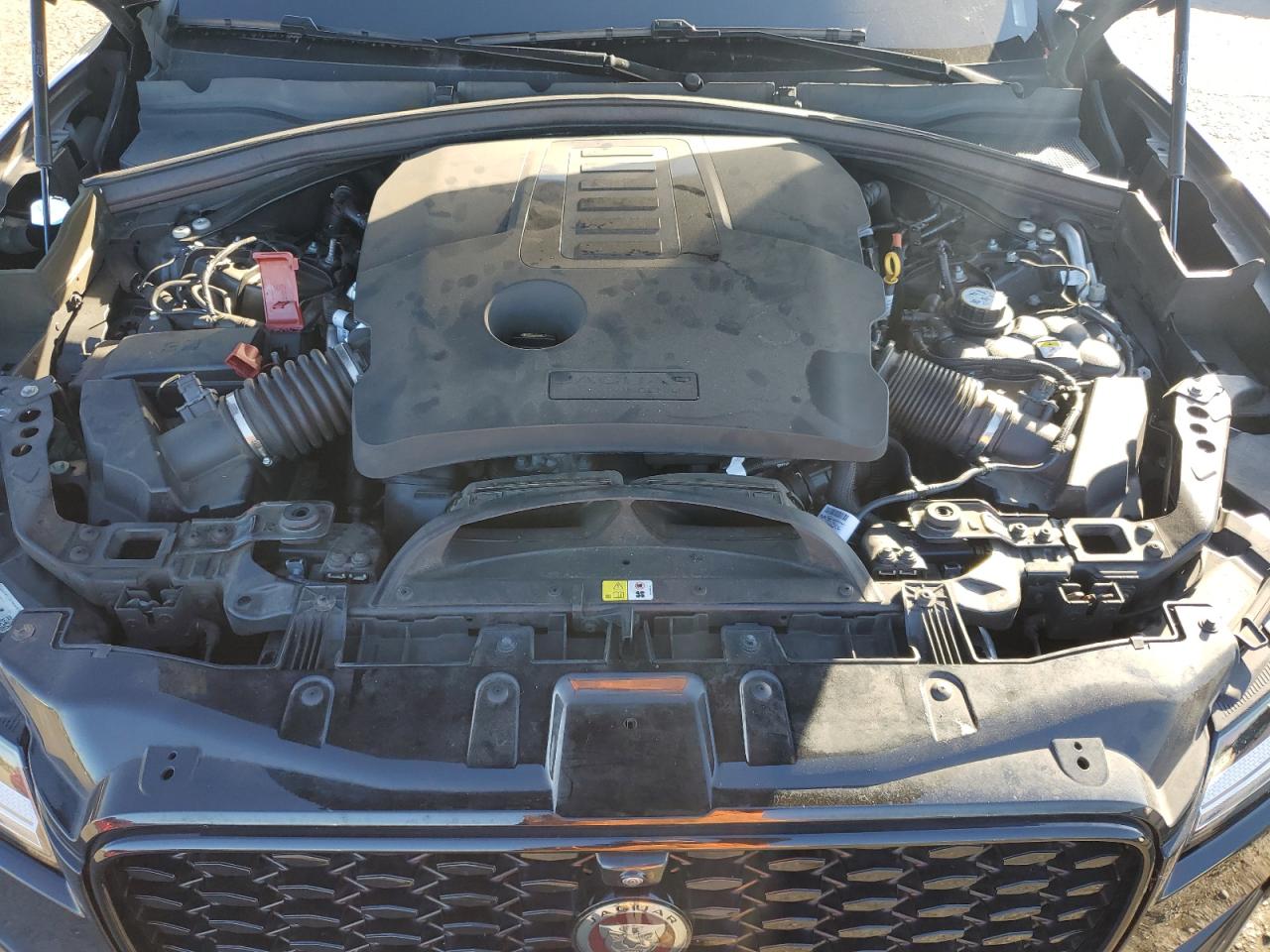 2021 Jaguar F-Pace S VIN: SADCJ2EU1MA669514 Lot: 81286715